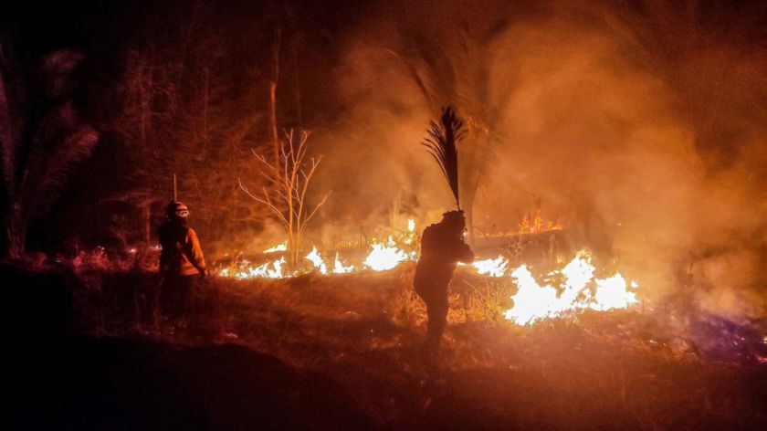 Auditoría forense revela que el 90% de los incendios forestales en Bolivia son provocados