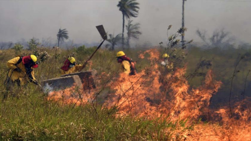 El Gobierno reporta al menos 1.500 focos de calor y 13 incendios en Santa Cruz