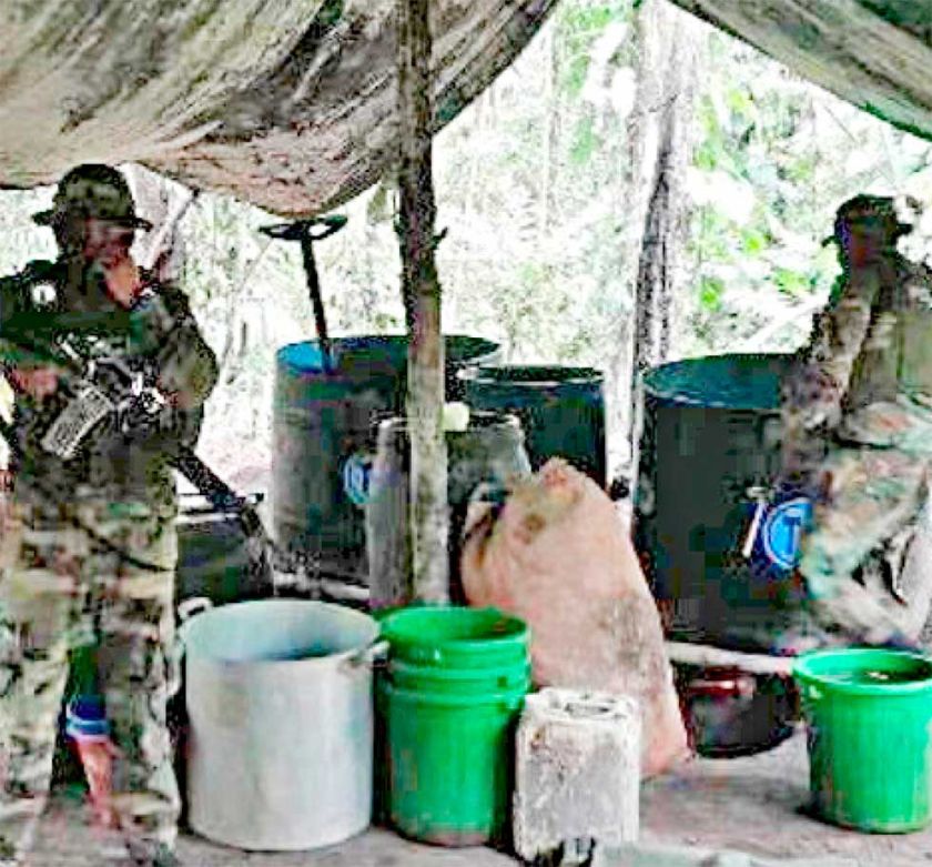 Destruyen 20 fábricas  de droga en el Chapare 