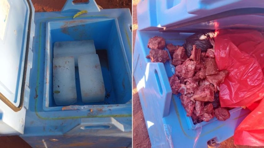 Denuncian que reemplazaron vacunas contra el sarampión por carne en cadena de frío de Salud