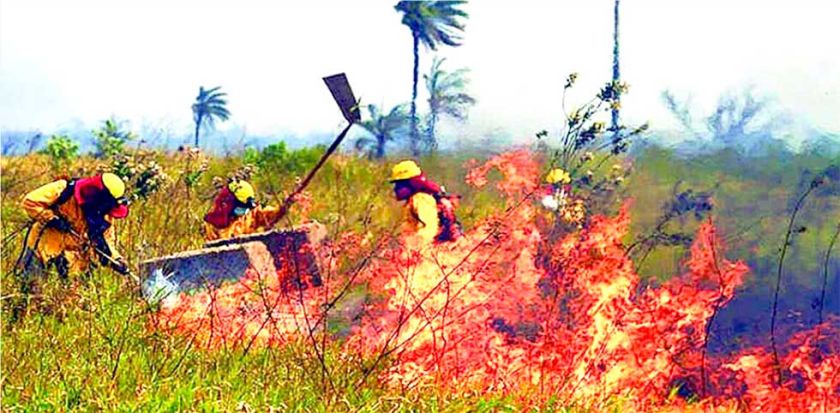 Monitoreo detecta 2.536  focos de calor en Bolivia 