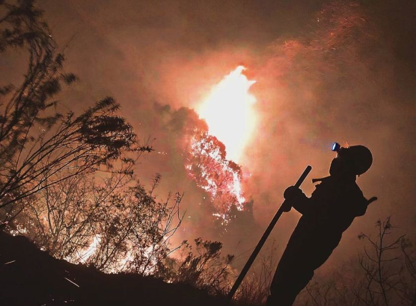 Alcaldía de Tarija reporta que más del 80 % del fuego fue controlado