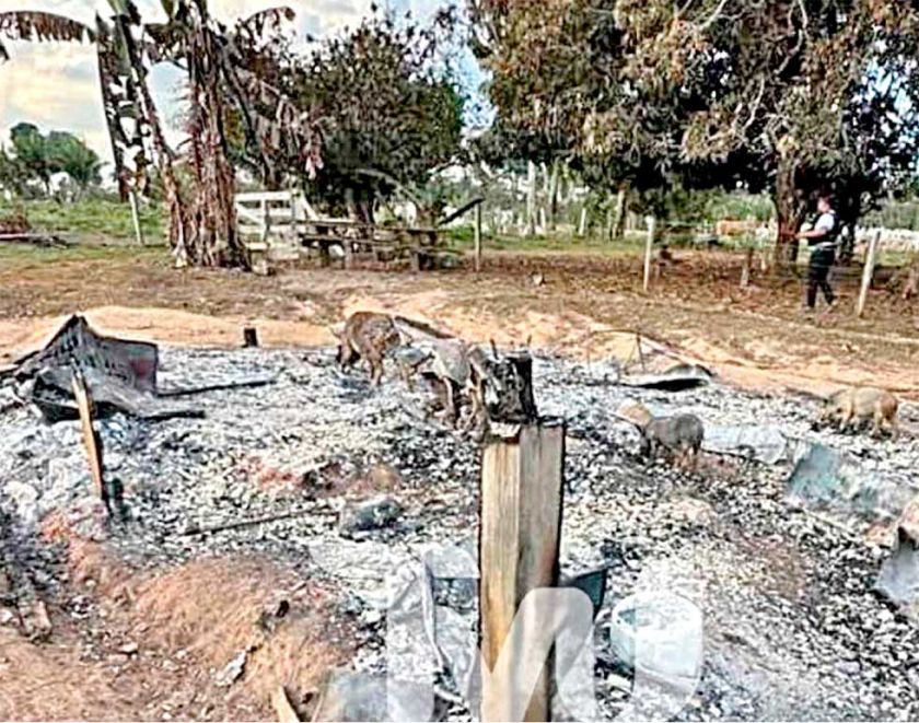 Pando: Hallan restos carbonizados  de tres personas en frontera