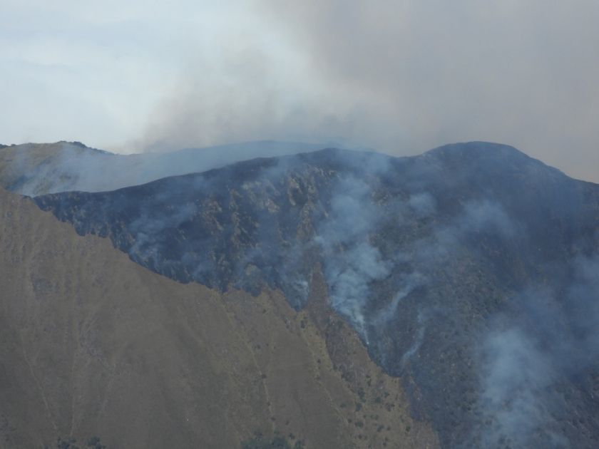 Controlan el incendio forestal en el Parque Nacional Carrasco tras cinco días de trabajo