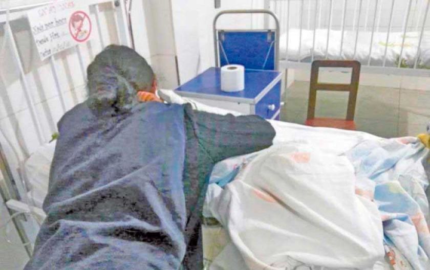 Cara de un niño queda  desfigurada tras ser  atacado por un perro 