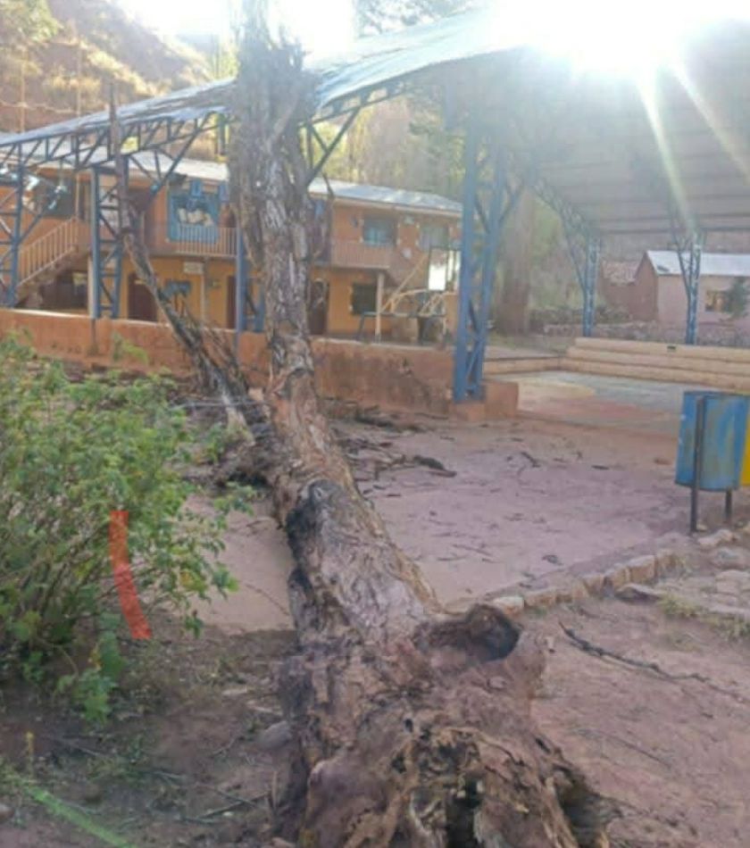 Vientos de hasta 80 km/h provocan destrozos en municipios de Potosí