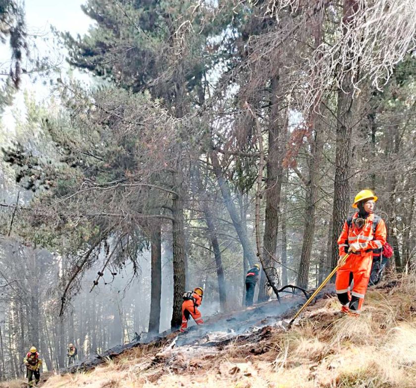 Incendios: Hay 58 procesos administrativos y 7 penales