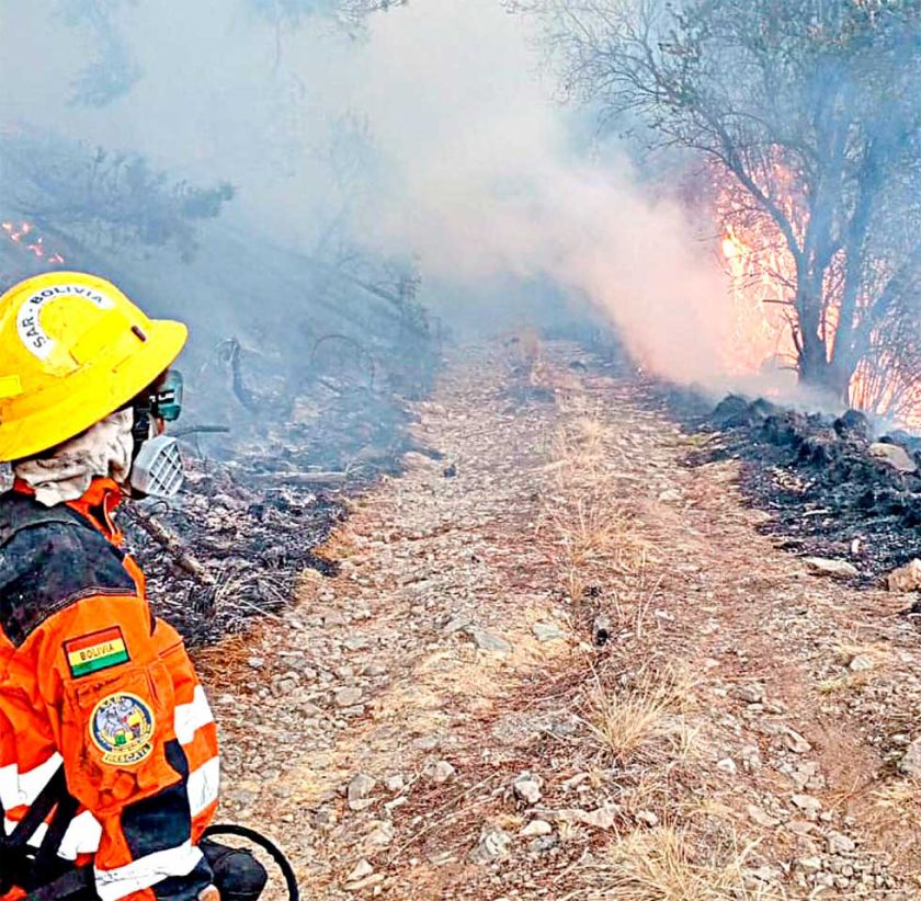 Hay 83.223 hectáreas afectadas por quemas en parques y reservas