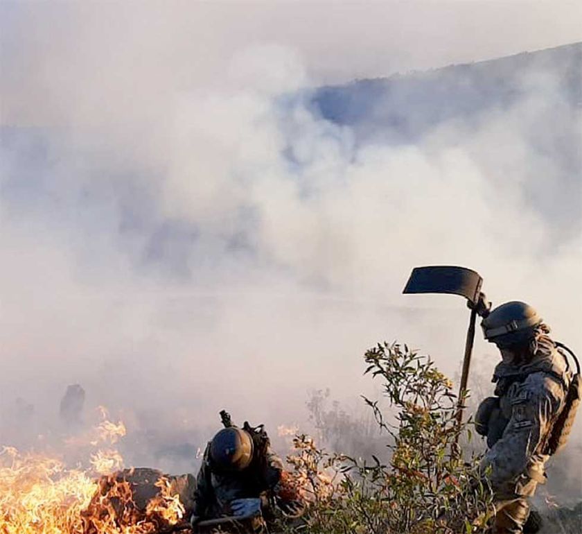 Gobierno reporta dos incendios  forestales activos