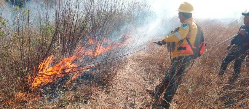 Incendio mata a una mujer, destruye viviendas y deja tierra dañada en Toro Toro
