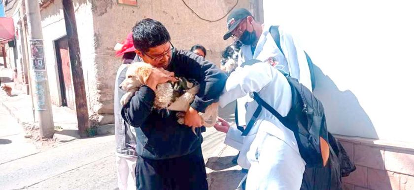 El Sedes-Potosí reporta 1.332 personas mordidas por perros