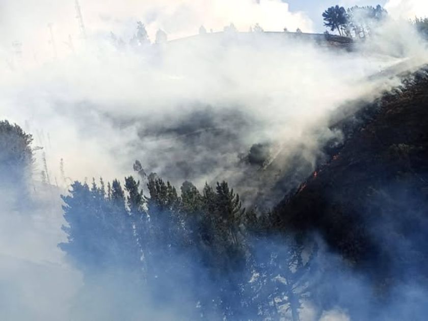 Sofocan incendio forestal en Colomi y salvan 30 hectáreas de bosques nativos