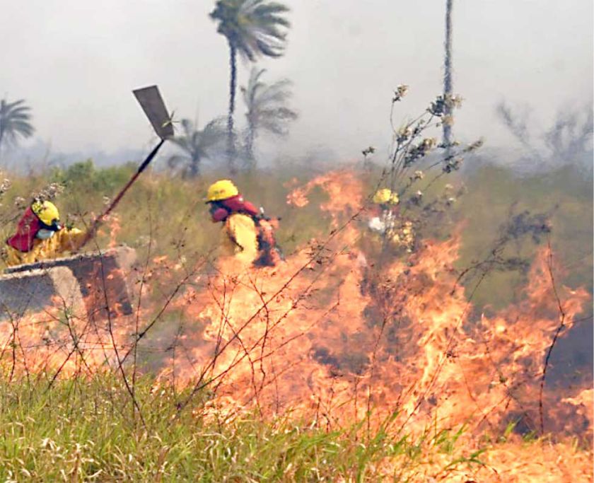 Más de 1.400 focos de calor y seis incendios en 6 departamentos