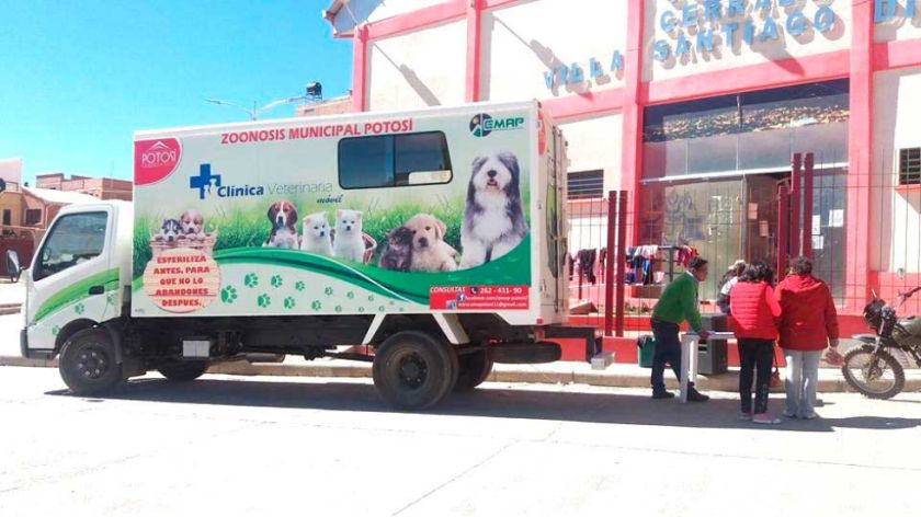Zoonosis intensifica trabajos de esterilización de canes