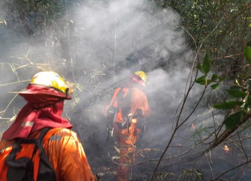 Bolivia registra 104 procesos por quemas e incendios forestales y logra cuatro sentencias