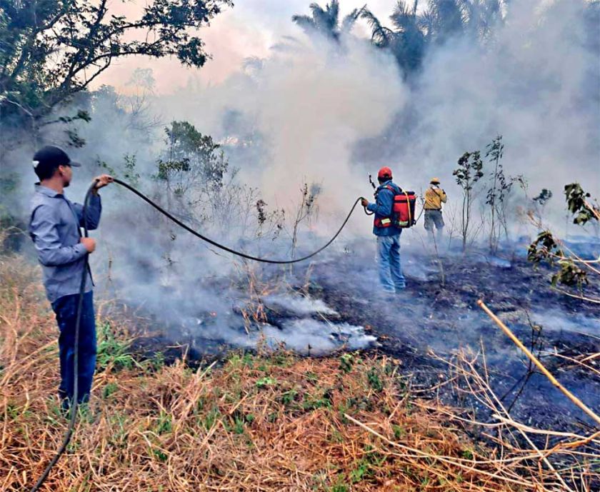 Alerta en 35 municipios por riesgo de incendios