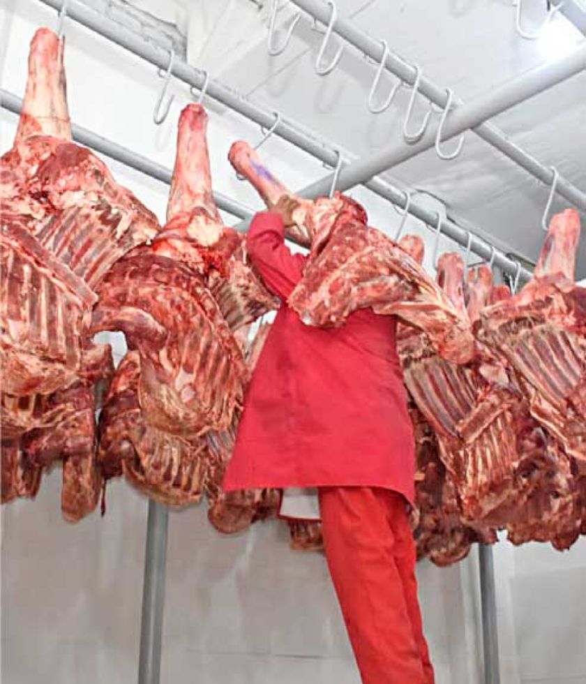 China, principal mercado de la carne boliviana