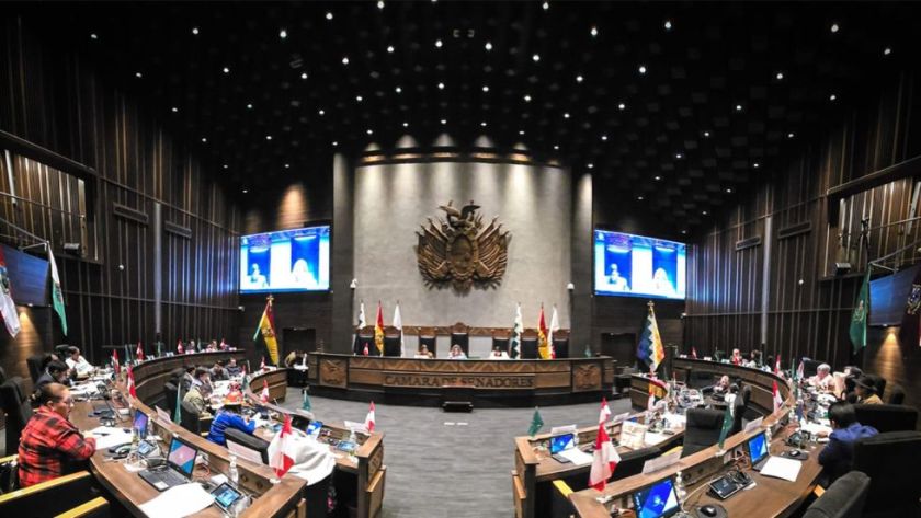 Senado archiva proyecto de ley que buscaba suspender al TSE y prorrogar mandatos de autoridades electas