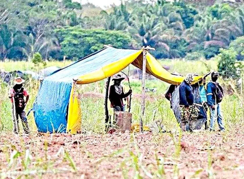 TA: Los avasallamientos ‘golpean’ a productores
