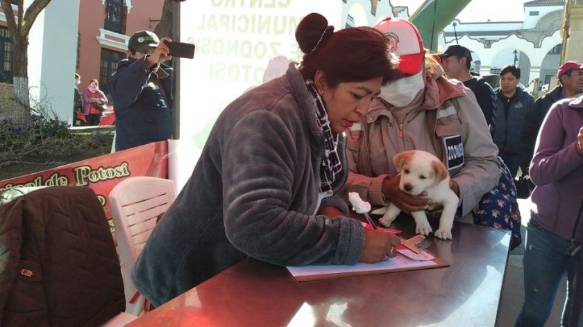 Alistan para noviembre la campaña de vacunación contra la rabia
