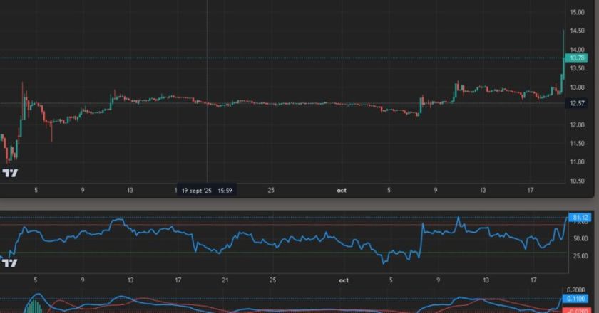 Cotización del dólar paralelo se dispara en Bolivia: 1 USDT supera los 14 bolivianos