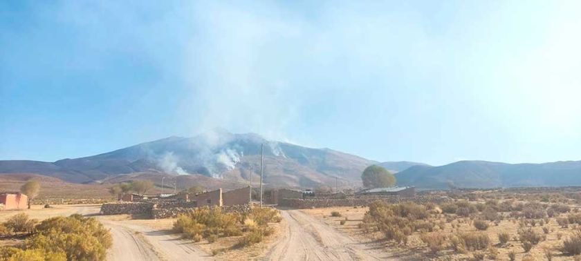 Incendio destruye 120 hectáreas de fauna y flora silvestre en Llica