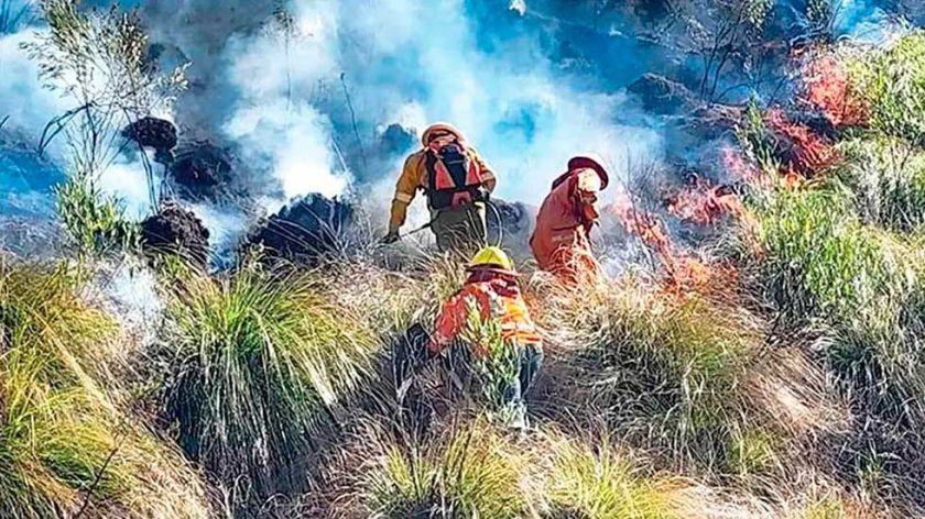 Incendios forestales en cuatro municipios arrasan más de 15 mil hectáreas en Potosí 