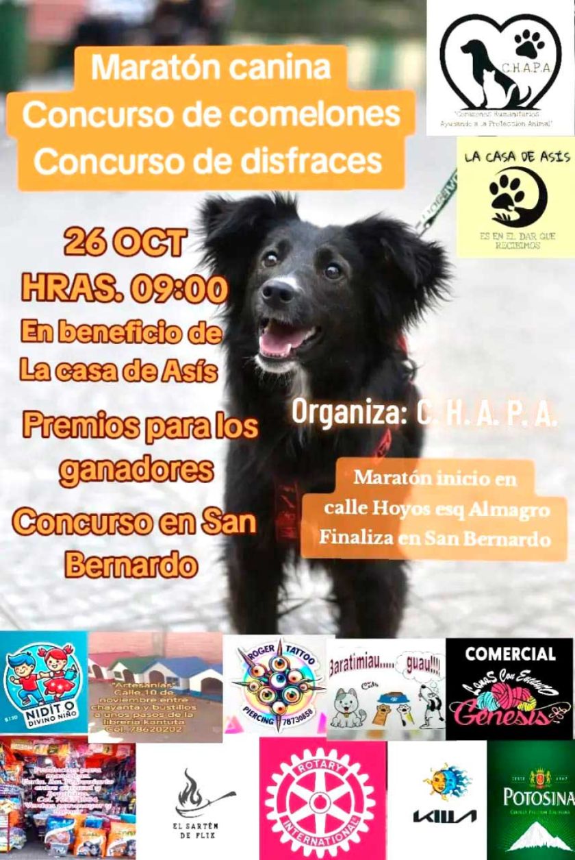 C.H.A.P.A organiza hoy su maratón y concursos para ayudar a los animales 