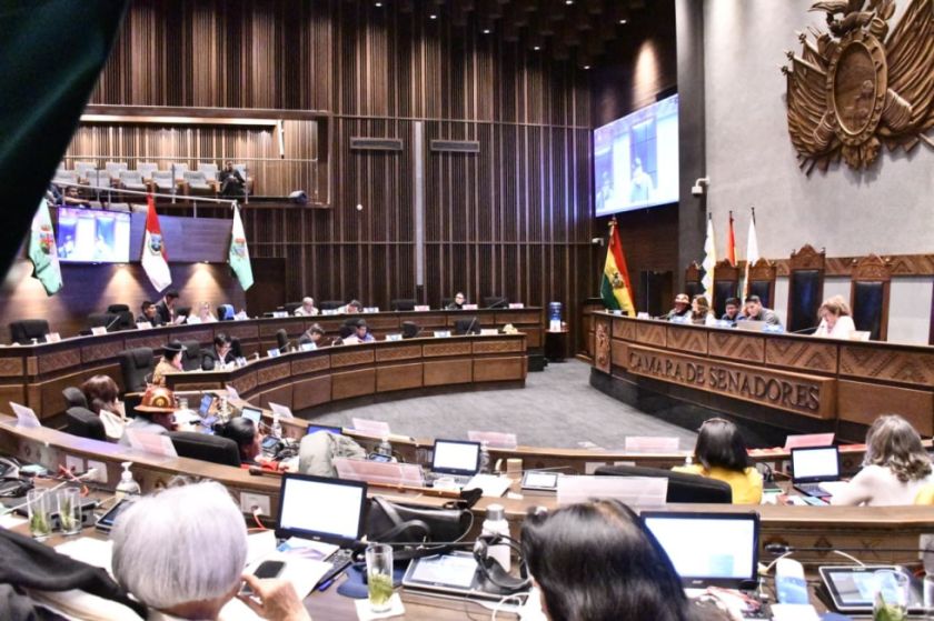 En tiempo récord, el Senado desbloquea cinco créditos por más de $us 450 millones
