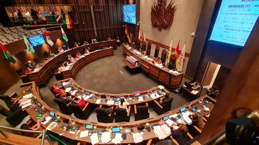 Senado sanciona ley de protección a huérfanos de víctimas de feminicidio en Bolivia