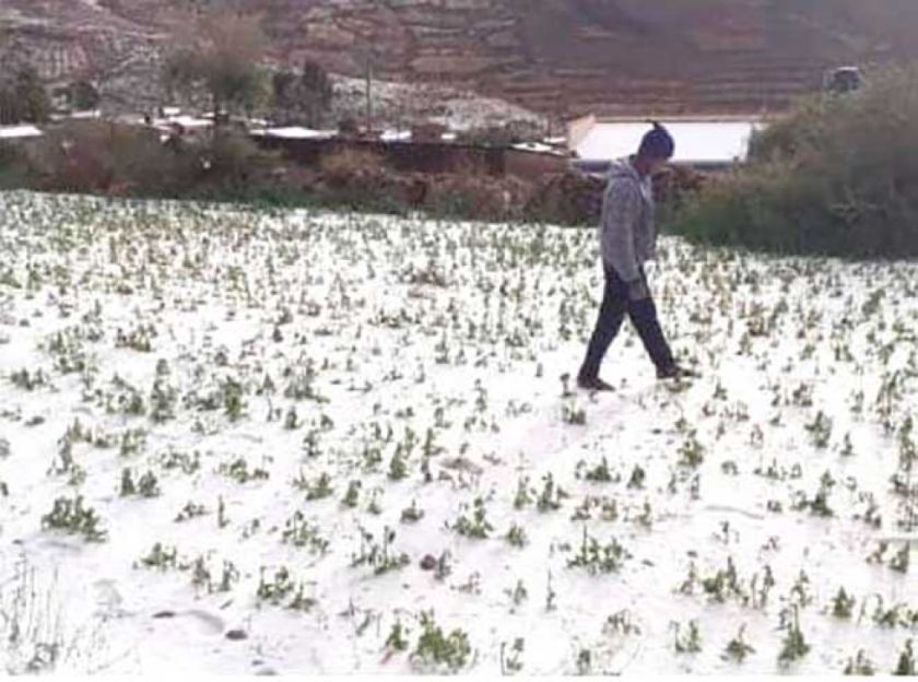 Reportan cuatro municipios  afectados por granizadas 
