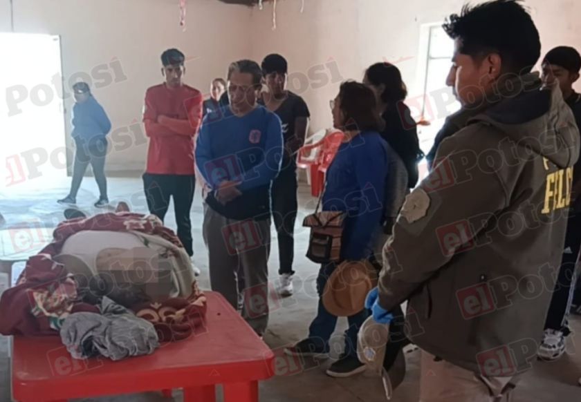 Villazón: Enjambre de abejas mata a una mujer en Moroya