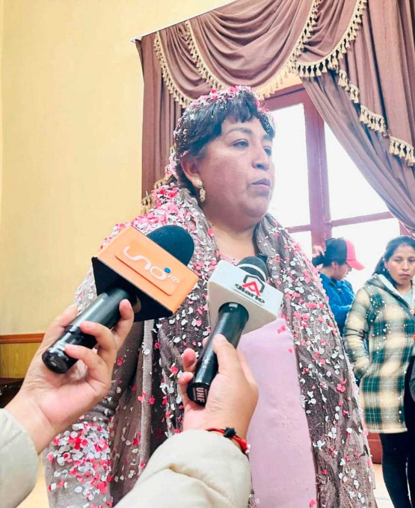 Concejo designa  a Lesly Flores en  reemplazo de  Waldo Porcel