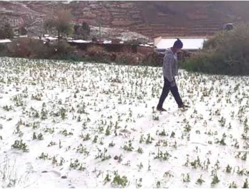 Reportan 10 municipios afectados por distintos fenómenos naturales
