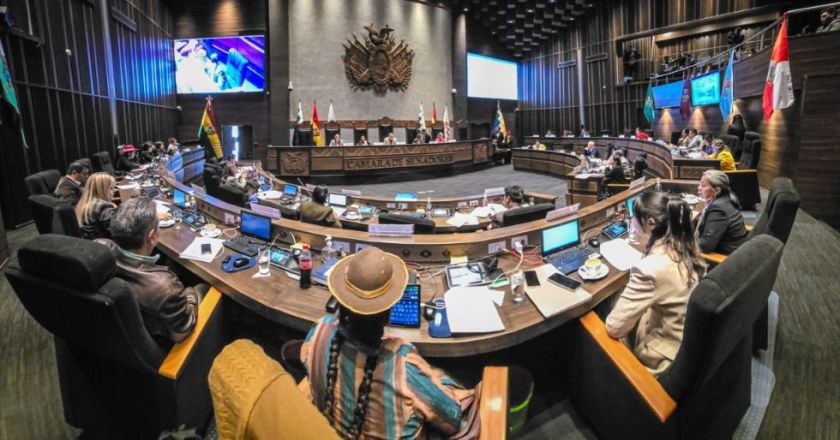 Senado aprueba ley de elección de vocales del TSE y la envió al Ejecutivo para su promulgación