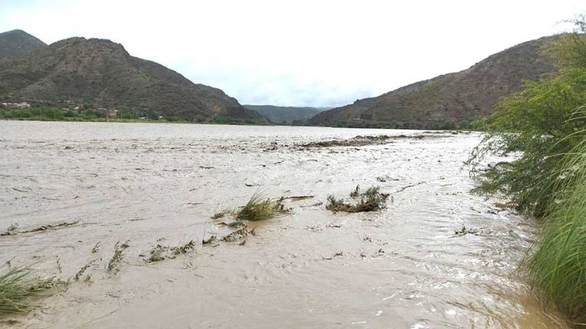 Riada mata más de 40 animales en Cotagaita y cuantifican daños