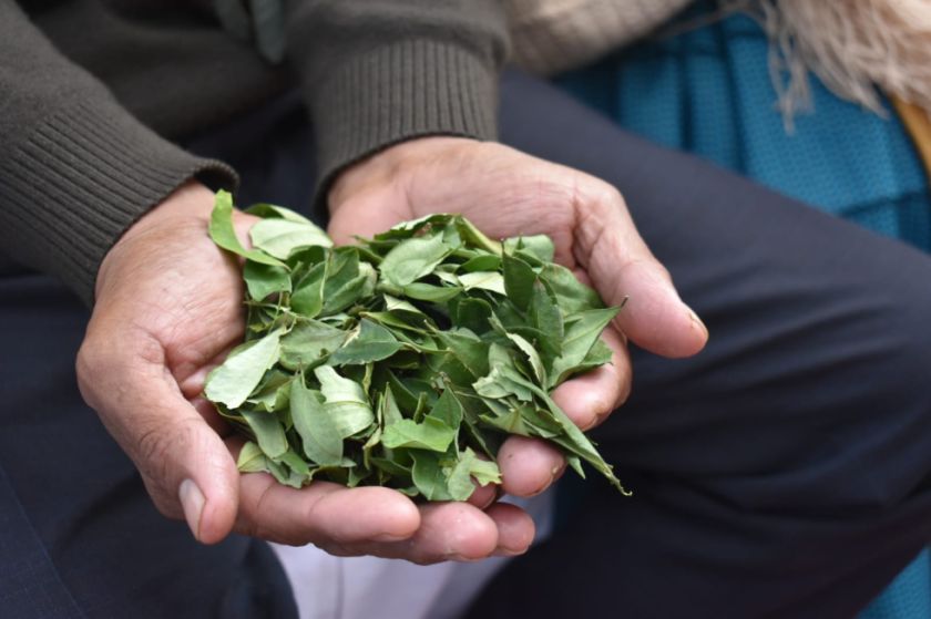 Gobierno: Comercialización de coca no se detendrá pese a cierre de Viceministerio