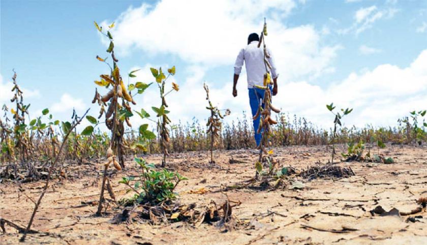 El uso de agroquímicos provoca desertificación del 42% de tierras
