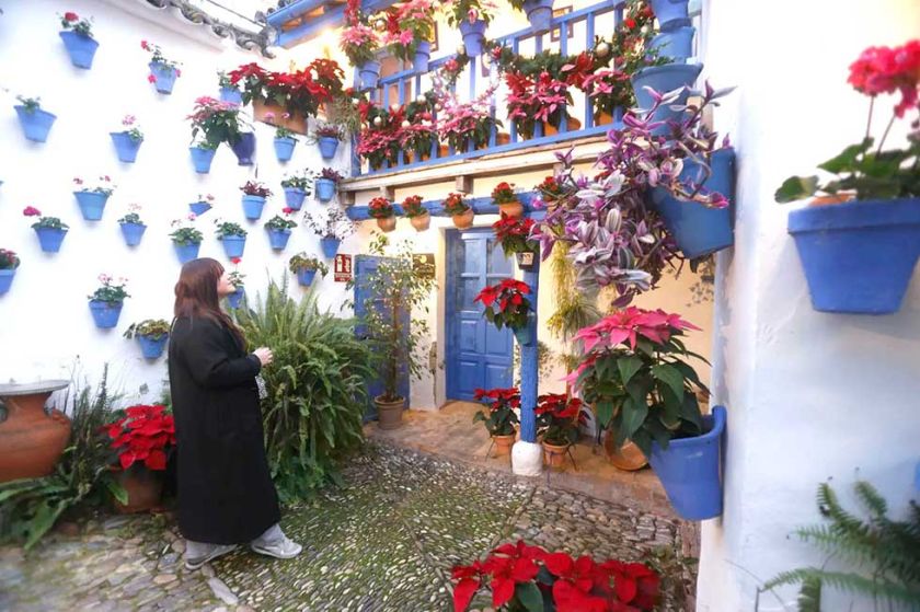 Los Patios de Córdoba, patrimonio de la humanidad, ahora se visten de Navidad