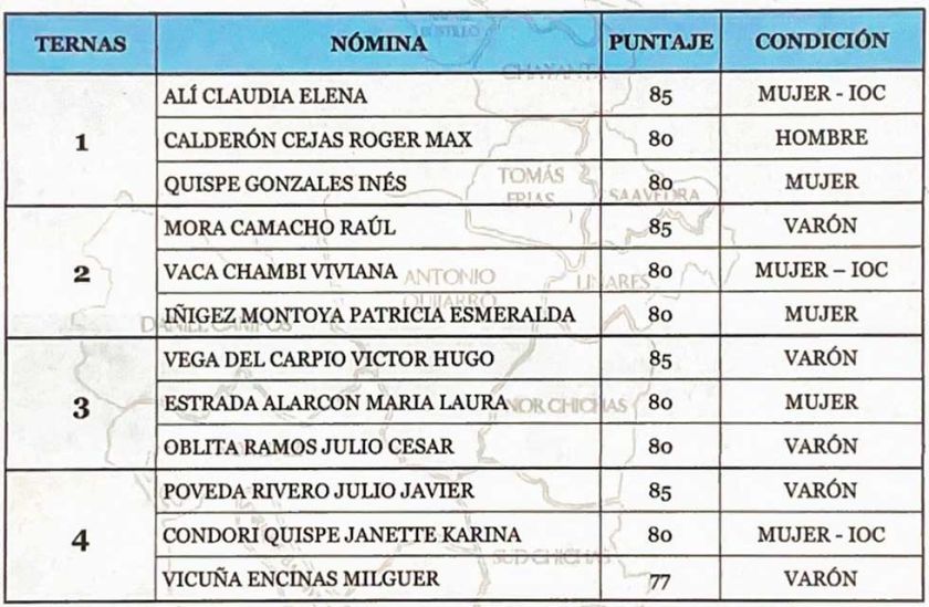 ALD de Potosí eligió ternas con método que puso a la política sobre los méritos