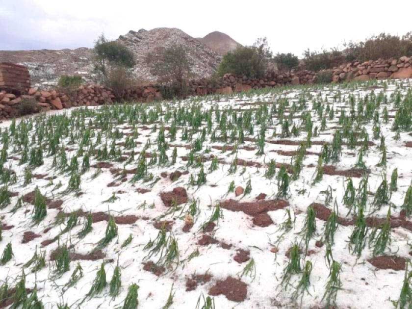 Granizada afecta a cinco municipios de 2 regiones de Potosí