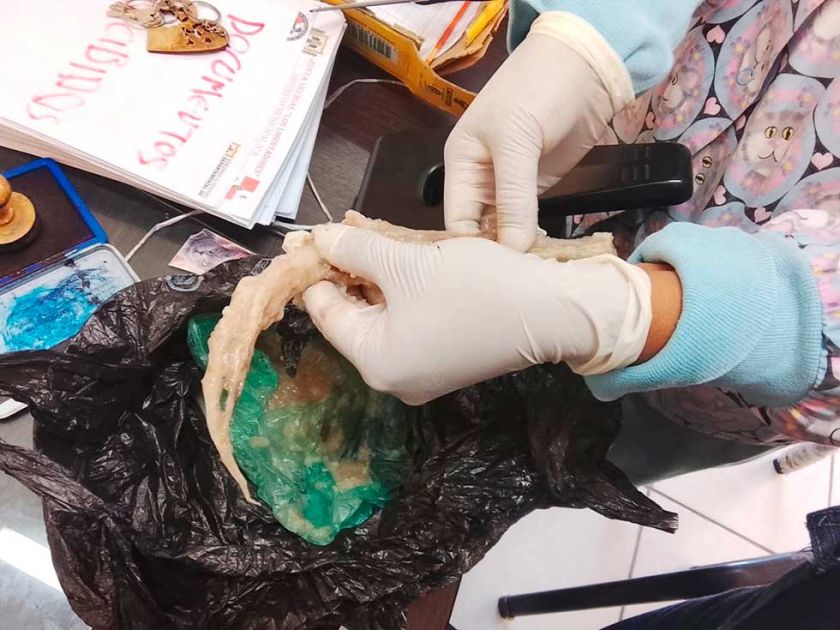 Hallan presunta cola de  perro en comida callejera