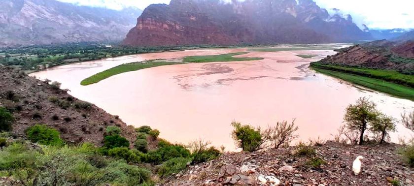 Más de 8 mil hectáreas fueron afectadas por los desastres