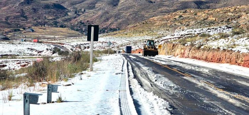 Desastres naturales causaron la pérdida de 131 cabezas de ganado