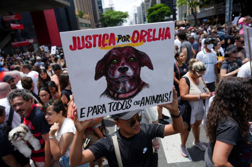 En Brasil se manifiestan y piden justicia por el caso del perrito "Orelha"