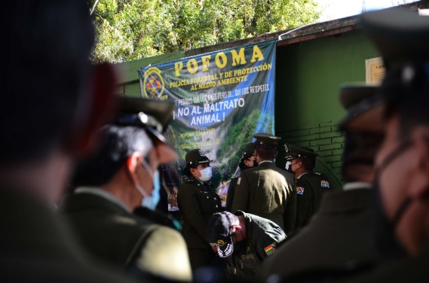 Citan a propietarios de un perrito cocker por presunto biocidio