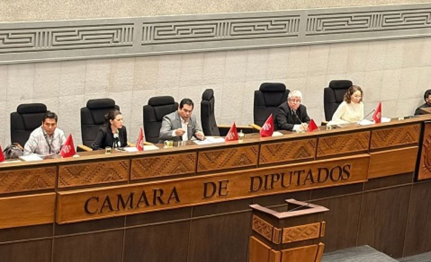 Cámara de Diputados aprueba ampliación y remite el proyecto al Senado