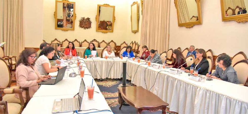 Consejo de Género y DDHH aprueba su plan de trabajo