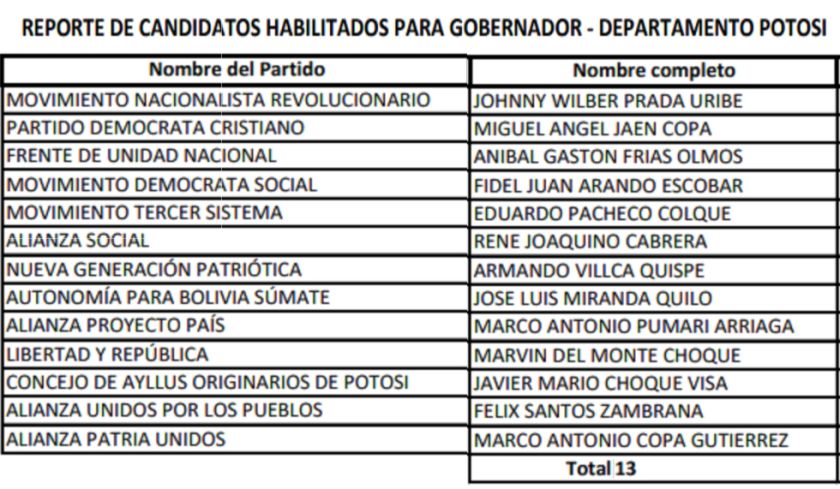 Gobernación de Potosí: hay 13 candidatos habilitados para las elecciones de marzo