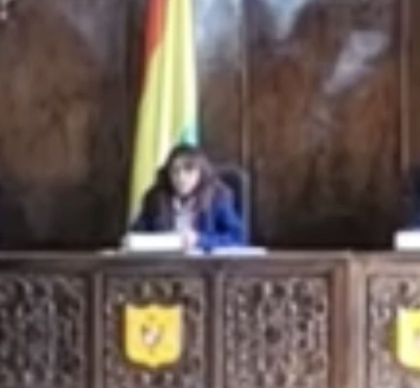 Josefina Cruz es elegida alcaldesa de Potosí tras renunciar Llally 